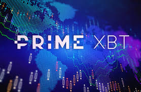 Comprehensive Guide to PrimeXBT FAQ Comprehensive Guide to PrimeXBT FAQ
