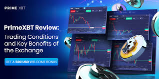 Comprehensive Guide to PrimeXBT FAQ Comprehensive Guide to PrimeXBT FAQ