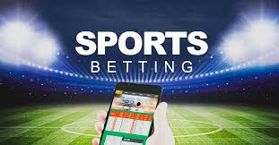 Explore the Best Online Casinos with Verified Payout History Explore the Best Online Casinos with Verified Payout History